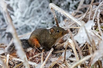 第三人称动作冒险射击游戏《Scars Above》IGN 5分